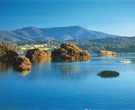 Wagonga Picnic Area - Local Tourism 0