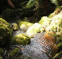 South East Forests National Park - Accommodation Australia