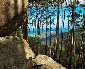 Mount Gulaga (Mount Dromedary) Walk - Accommodation Australia 0