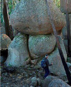 Mount Gulaga (Mount Dromedary) Walk - Accommodation Australia 1