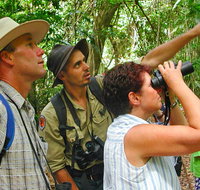 Falls walking track - Local Tourism