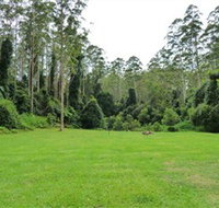 Kerewong State Forest