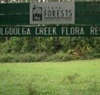Woolgoolga Creek Flora Reserve - Accommodation Australia