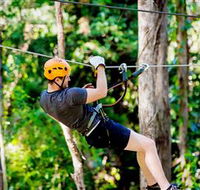 TreeTop Challenge Currumbin - Local Tourism