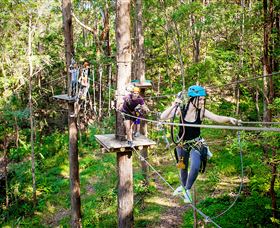 TreeTop Challenge Currumbin - Local Tourism 1
