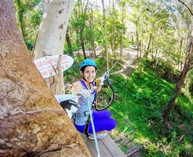 TreeTop Challenge Currumbin - Local Tourism 3