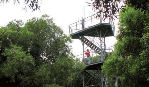 Cape Hawke Lookout - Accommodation Australia 0