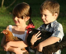 Summerland House Farm - House With No Steps - Accommodation Australia 2