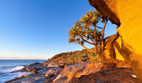 Angourie To Brooms Head - Accommodation Australia 1