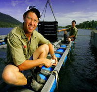 Armstrong Oysters - Local Tourism