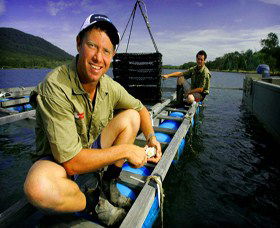 Armstrong Oysters - Accommodation Australia 0