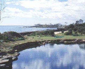 Angourie Blue Pool - Accommodation Australia 1