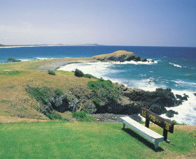 Killick Beach - Local Tourism 0