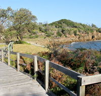 Mimosa Rocks walking track - Accommodation Australia