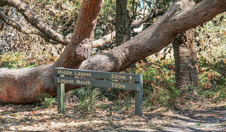 Stony Creek NSW Accommodation Australia