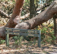 Middle Lagoon walking track - Accommodation Australia