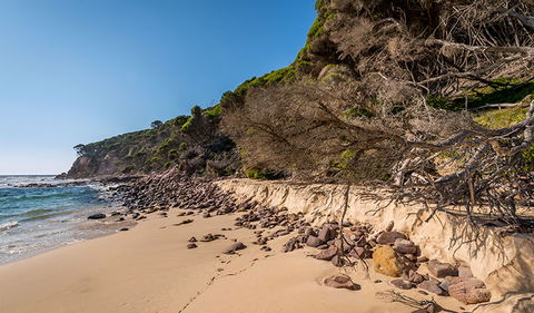 Terrace Beach And Lennards Island - Local Tourism 2