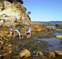 Sapphire Coast Marine Discovery Centre - Accommodation Australia