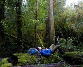 Roger River TAS Accommodation Australia