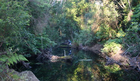 Nadgee Nature Reserve - Bed n Breakfasts 2