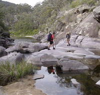 Nadgee Wilderness Walk - Accommodation Australia