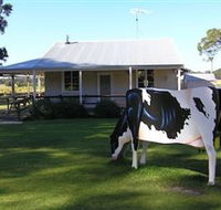 Millers Ice Cream - Local Tourism