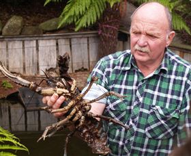Lobster Ponds - Local Tourism 0