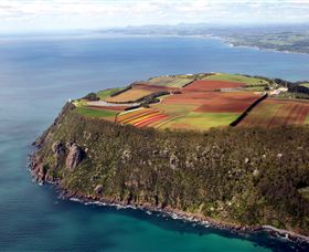 Table Cape - Accommodation Australia 0