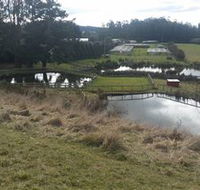 Guide Falls Farm - Local Tourism