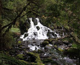 Hellyer Gorge - Bed n Breakfasts 2
