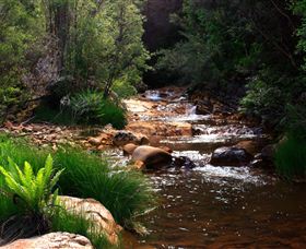 Hellyer Gorge - Bed n Breakfasts 1