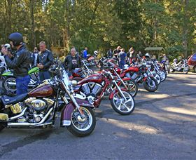 Hellyer Gorge - Bed n Breakfasts 3