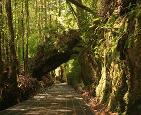 Philosopher Falls - Local Tourism 0
