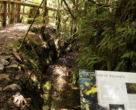 Philosopher Falls - Local Tourism 1