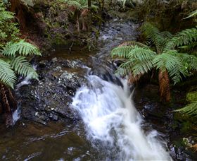 Philosopher Falls - Local Tourism 4