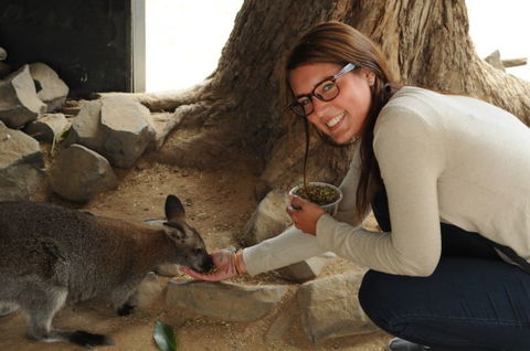 Autopia Tours - Accommodation Australia 6