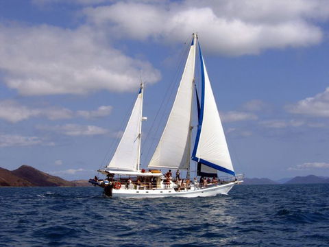 Adventure, Cruise, Dive And Outer Reef - Whitsundays Sailing Adventures - Accommodation Australia 5