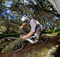All Terrain Cycles - Local Tourism