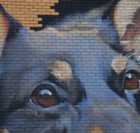 Visit Benalla Tours - Australia Shopping