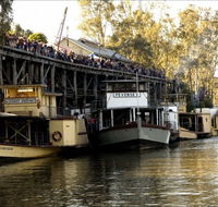 Murray River Paddelsteamers - Echuca Paddlesteamers - Accommodation Australia