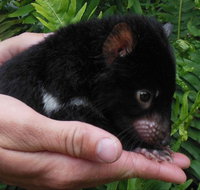 Crawn Motors - Local Tourism