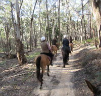 Silver Brumby Trails - Local Tourism