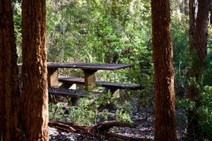 Karrak Reach Forest Retreat - Local Tourism 1