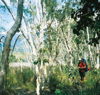 Thorsborne Trail Hinchinbrook Island National Park - Accommodation Australia
