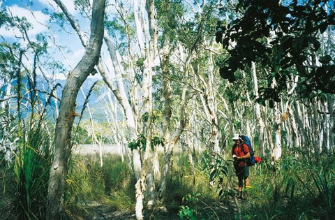 Thorsborne Trail, Hinchinbrook Island National Park - Accommodation Australia 2