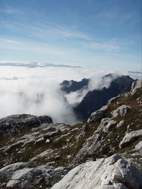 Trek Tasmania - Local Tourism 5