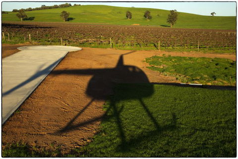 Barossa Helicopters Pty Ltd - Accommodation Australia 0