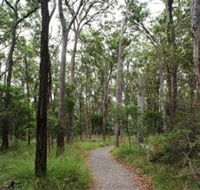 Caboolture Regional Environment Education Centre - Walking Trails - Australia Shopping
