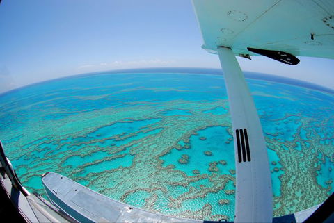 Air Whitsunday Seaplanes - Accommodation Australia 1