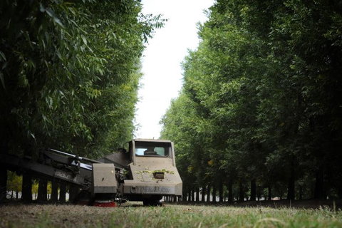 ODempseys Charters And Tours - Australia Shopping 0